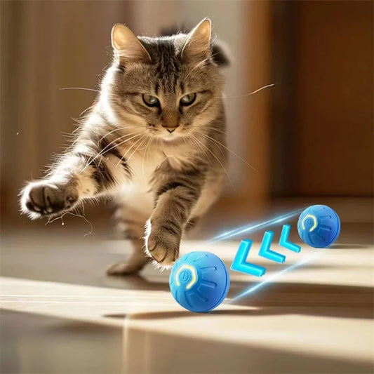 Bola Interativa Smart Pet | Anti-Ansiedade